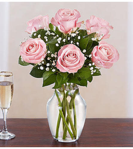 Six Pink Premium Roses