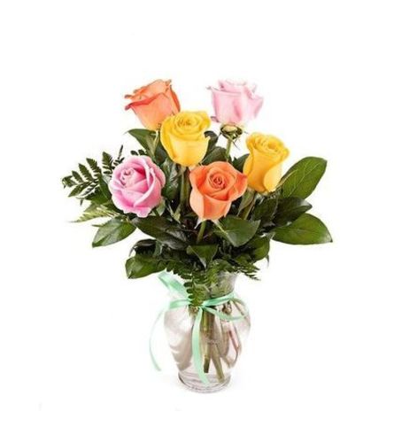 Six Mixed Coloured Roses