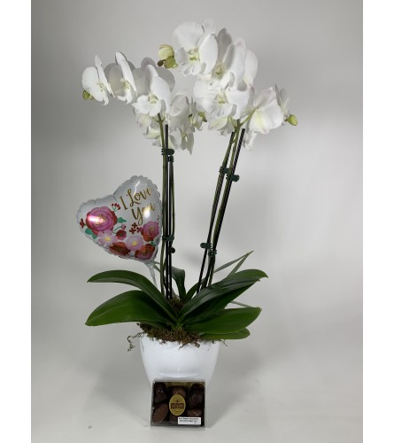 Valentines orchid package