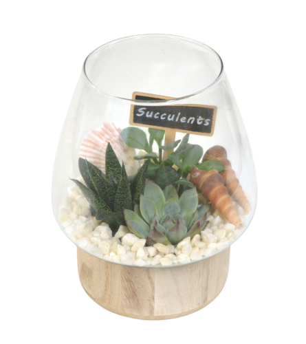 Wooden Base Succulent Planter