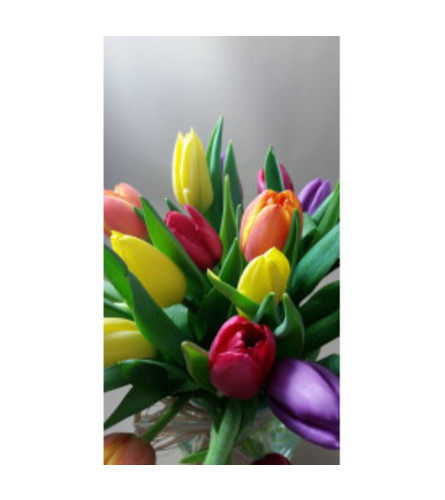 Bouquet of Spring Tulips