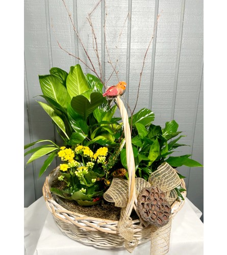 Little Birds Basket