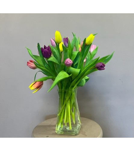 Flower Mill Mixed Tulip Special