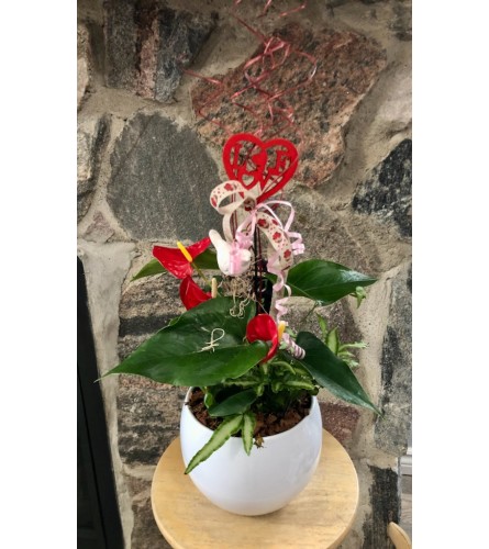 Valentine's Standard Planter