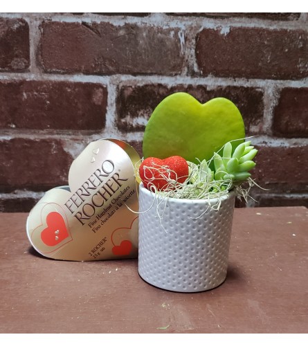 Mini Succulent & Candy Heart Combo