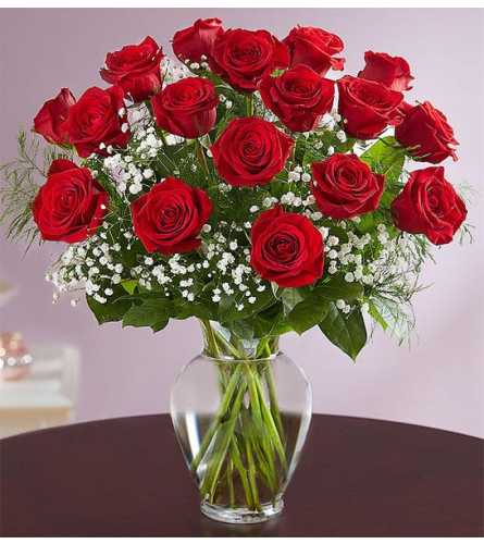 Rose Elegance Premium Long Stem Red Roses 2022