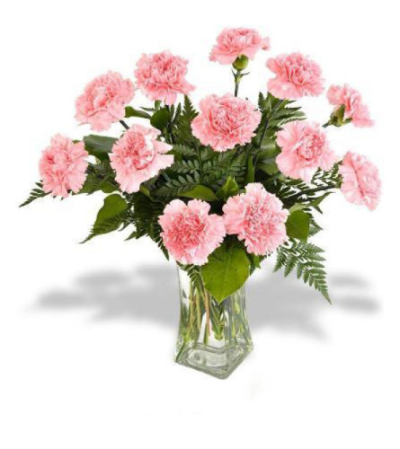 12 Pink Carnations Arranged in a Vase