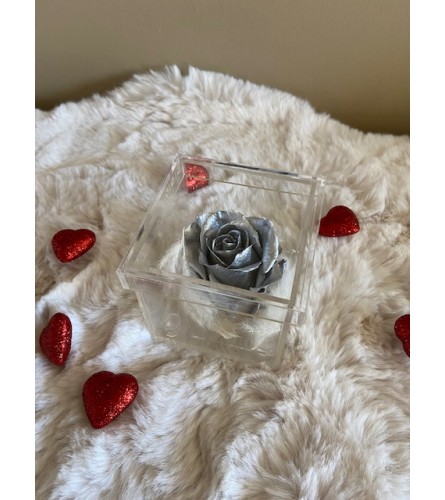 Single Preserved Rose in Acrylic Box