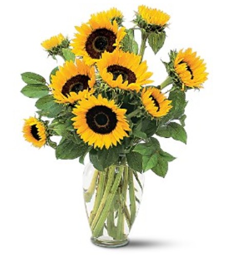 Shining Sunflowers Bouquet. An arrangement by Sueppel's Flowers.