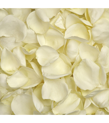 White Rose Petals Box