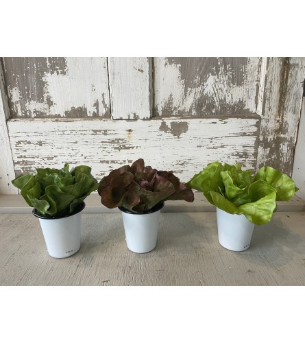 Farmhouse Tumbler with Lettuce (Various)