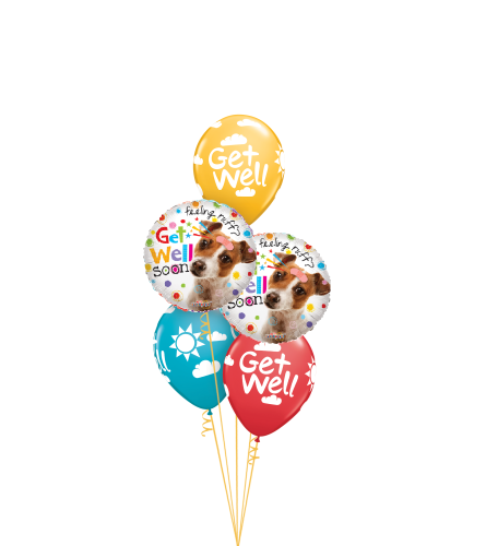 Feeling Ruff? Get Well Soon Classic Balloon Bouquet