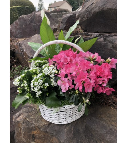 European Plant Basket with azalea, Kalanchoe, and Peace Lily