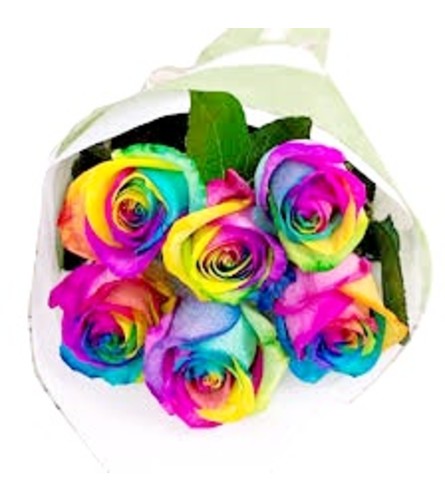 HALF DOZEN RAINBOWS BUNDLE. An arrangement by A Loving Touch Florist.
