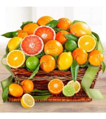 Citrus Wonder Gift Basket