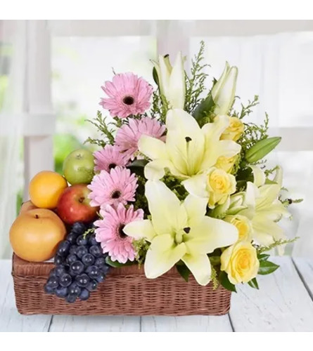 Gerbera Floral and Fruit