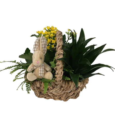 Easter Tropical Basket