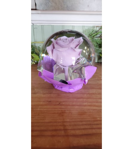 Lavender Rose Globe