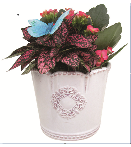 Small Spring Planter. An arrangement by Anderson Flowers.