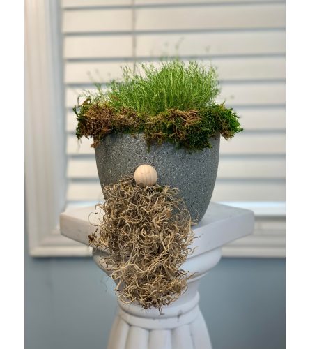 Gnome Planter with Irish Moss