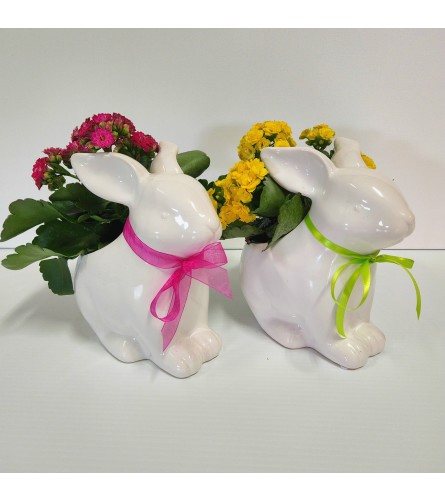 Bunny planter