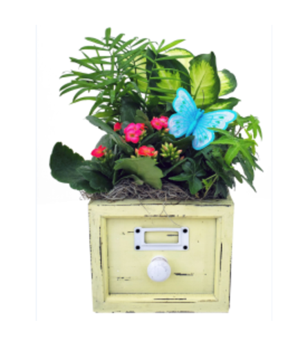 Spring Fling Planter Indoor Dish Garden (Medium). An arrangement by Floratechnics.