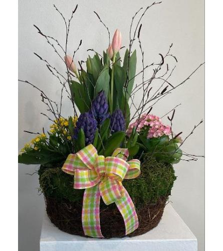 Spring Blooming plant basket