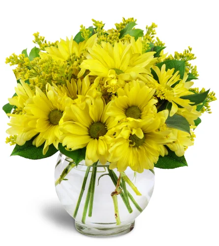 Mom's Day - Daisy Dreams Bouquet