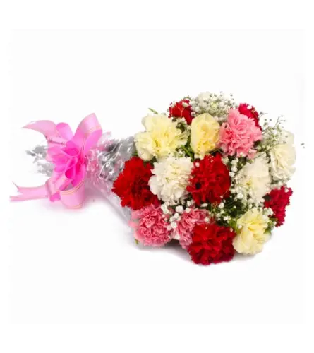 12 Assorted Carnations for Mother's Day