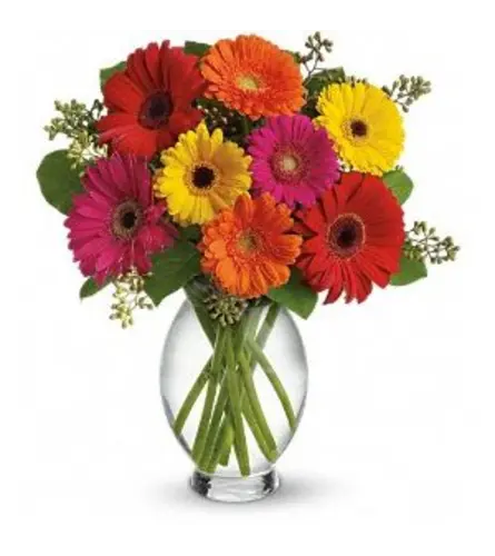 12 Mini Gerberas for Mother's Day - Deluxe. An arrangement by Floratechnics.