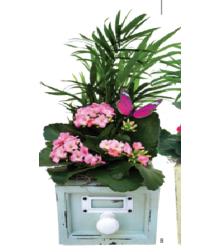 Spring Fling Planter Dish Garden (Small)