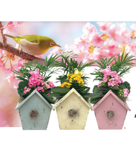 Sabrina Birdhouse Planter Dish Garden (1 Unit)