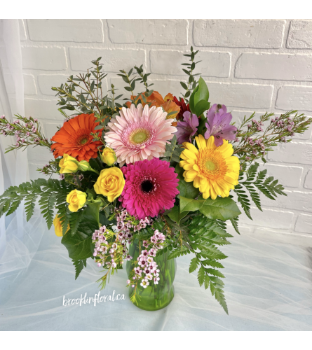 Wild Gerbera Meadow