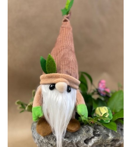 Gnome - Oakley