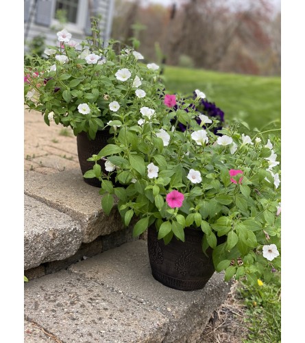 Tricolor Hanger Basket