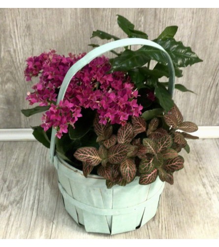 Delightful Home Planter Basket