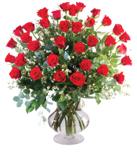 THREE DOZEN RED ROSES SPECIAL