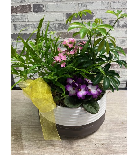 Two Tone ceramic blooming planter. An arrangement by The Flower Shop in the Village.