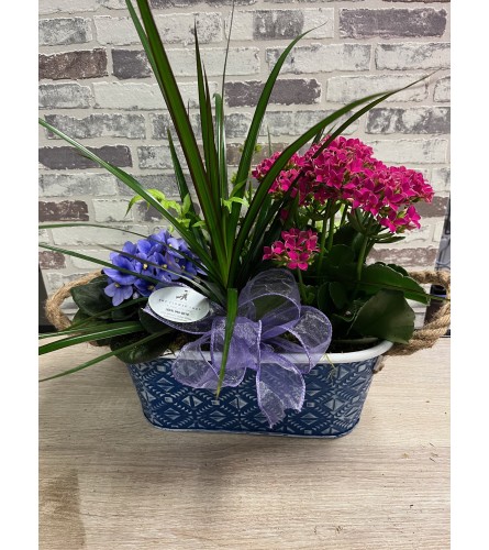 Oval blue tin planter. An arrangement by The Flower Shop in the Village.