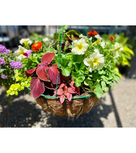 CoCo Hanging basket