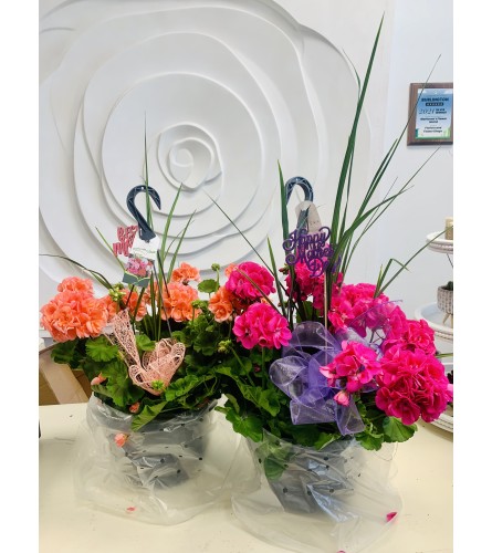 Mother's Day Geranium Hanging Baskets