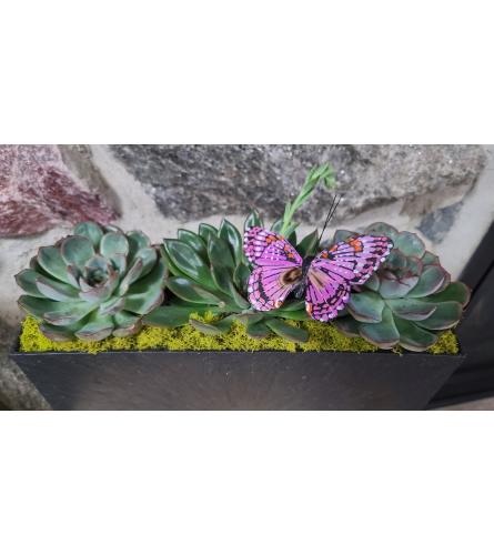 Rectangular Oasis - Standard. An arrangement by Mount Brydges Floral Design.