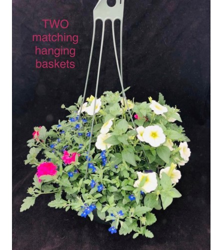 Travis Floral Hanging Baskets