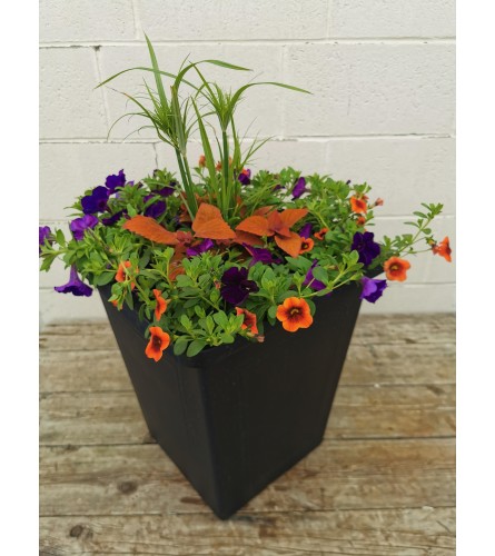 Large Square Outdoor Planter. An arrangement by The Garden Gate Gifts and Florals.
