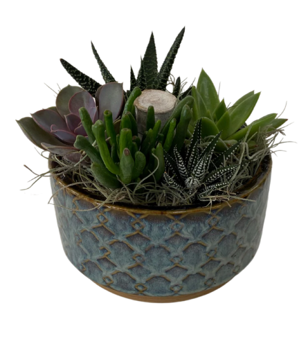Vintage Teal Succulent Bowl