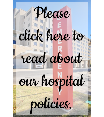 Hospital Deliveries. An arrangement by Red Rose Incredible Florist.