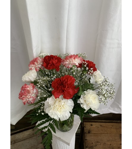 BLOWOUT CARNATION SPECIAL!