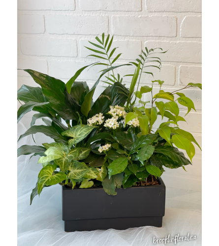 Peaceful Dreams Bouquet. An arrangement by Brooklin Floral and Garden Shoppe Inc..