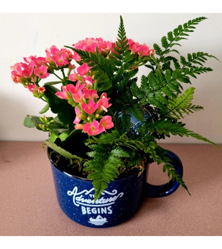 CAMPING MUG BLUE. An arrangement by A Loving Touch Florist.