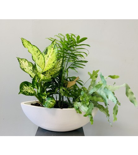 Modern White Boat Planter